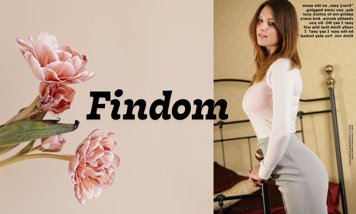 Findom