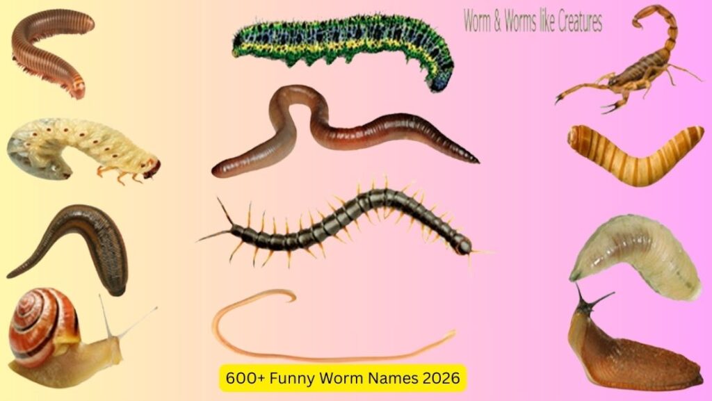 600+ Funny Worm Names 2026