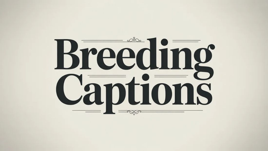 950 + Breeding Captions That Speak Volumes